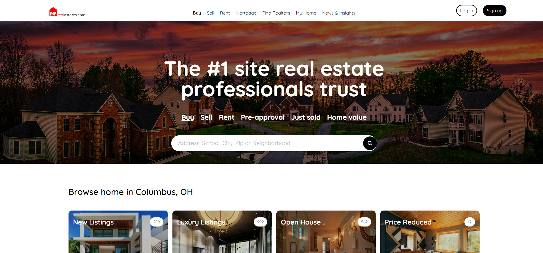 Real Estates screenshot of home page website.